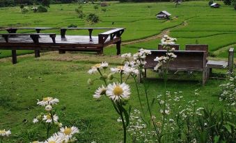 View Point Lodge