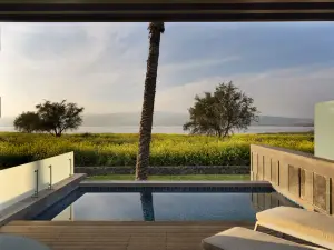 세타이 시 오브 갈릴리