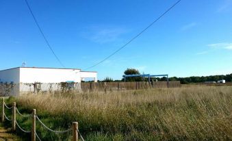 a grassy field with a white building in the background , surrounded by trees and bushes at Casa Amigos