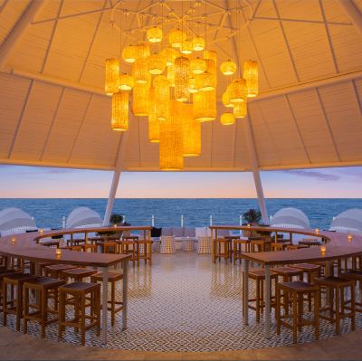 Restaurant Paloma Foresta Photo