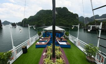 Flamingo Luxury Cruises