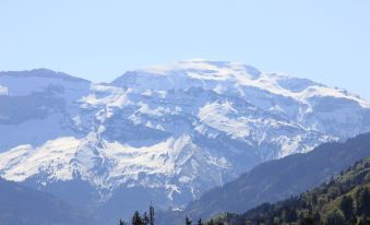 Gite Balneo Au Coeur des Alpes