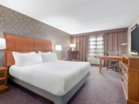 Hilton Garden Inn Springfield, MA Hotels in Springfield