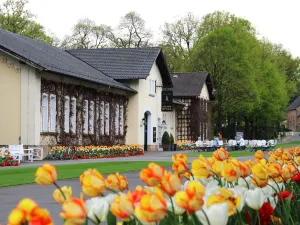 Gräflicher Park Health & Balance Resort