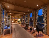 Hotel Hachinger Hof Hotels in Sauerlach