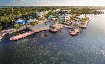 aerial view of a large marina with multiple boats docked , surrounded by palm trees and buildings at Reefhouse Resort and Marina