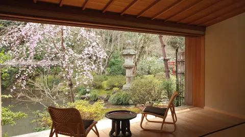 Izu Peninsula Travel Guide 2026: Top Attractions, Things to do