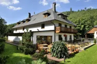 Hotel Singer Hotels in Zlaté Hory
