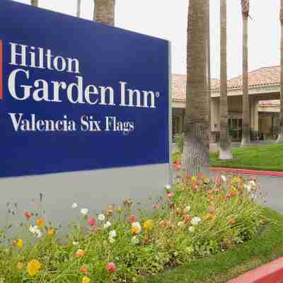 Hilton Garden Inn Valencia Six Flags Hotel Exterior