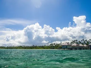 Coconuts Beach Club Resort and Spa