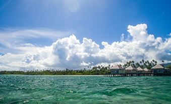 Coconuts Beach Club Resort and Spa