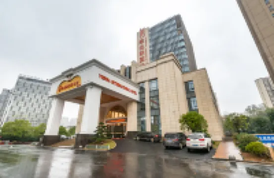 Vienna International Hotel (Zhuzhou Liyu) - parcheggio