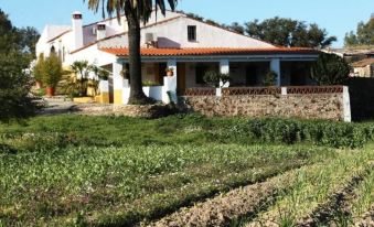 Casa Rural la Zafrilla