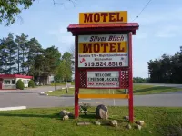 The Silver Birch Motel