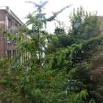 Hotel Nicolaas Witsen