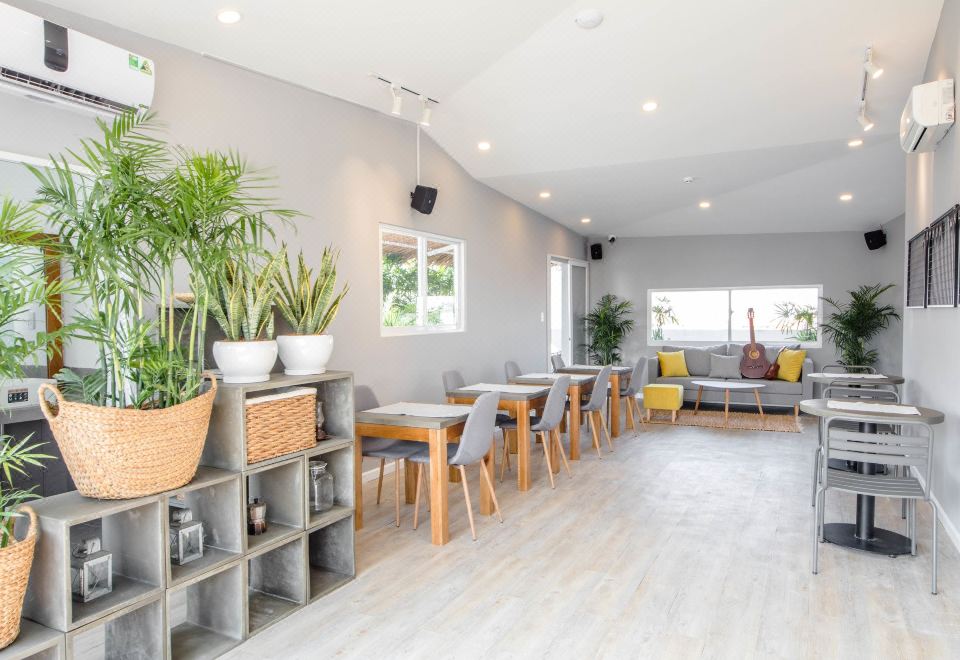 커먼 인 타오 디엔