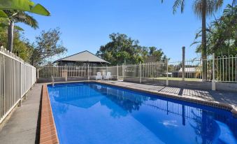 a blue swimming pool surrounded by a wooden fence , with palm trees in the background at Catalina Motel Lake Macquarie