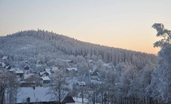 Naturhotel Gasthof Bärenfels