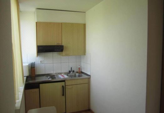 3. 스위스 스타 타..