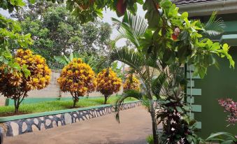 Anna's Place Entebbe - Housity