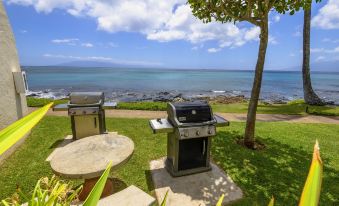 Napili Point C-12 - 2Br Condo