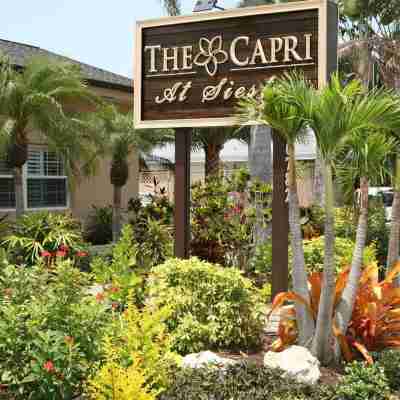 The Capri at Siesta Hotel Exterior