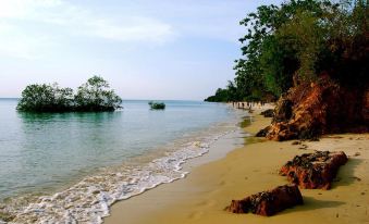 Mangrove Lodge