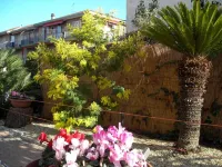 Hotel Delle Mimose