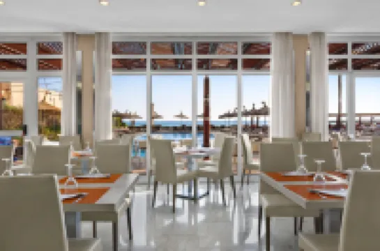 THB El Cid - Adults Only Hotels in Playa de Palma