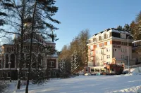 Hotel Richard Spa & Wellness Hotel a Velka Hledsebe