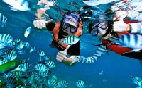 Harapan Solata Homestay Hotels in Thousand Islands