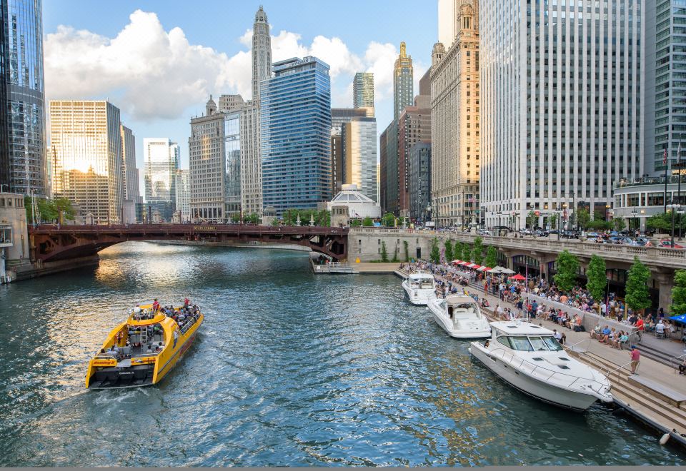 시카고 다운타운 거리 풍경