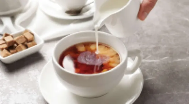 Seabird Lodge Fort Bragg