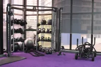 Holiday Inn & Suites MANILA GALLERIA by IHG - Gym