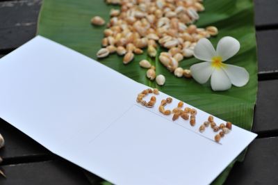 その他 デュシット ビーチリゾート グアムの写真