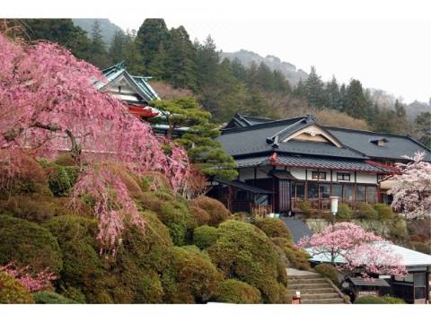 箱根小涌園 三河屋旅館 箱根 を宿泊予約 22年安い料金プラン 口コミ 部屋写真 Trip Com