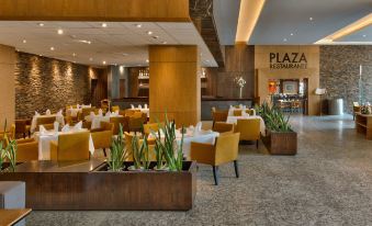 Galeria Plaza Reforma