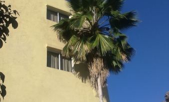Hotel Condo Parque - Hostel - Housity