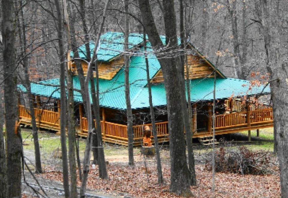 a log cabin surrounded by trees and surrounded by a forest , with a wooden walkway leading up to the cabin at Diamond Lake Cabins