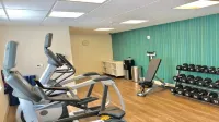 Holiday Inn Express & Suites MOUNT PLEASANT by IHG - Gym