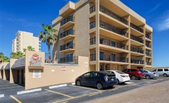 Seagull 404: Beachfront Condo W/Pool & Sundeck! Perfect for Couples or Families! 2 Bedroom Condo