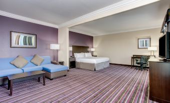 Holiday Inn Express & Suites Raceland - Highway 90