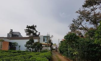 a road leads to a white building with green plants on either side and another building at the end at Sen Villa Boutique