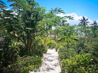 Garden Kae Funk Sunset Bungalows Photo