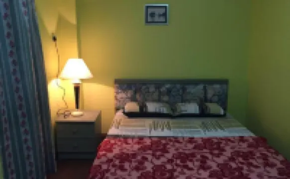 雛菊@德薩紅掌花