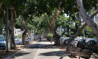 Wonderfully Apt. in Tel Aviv-5 Min Beach