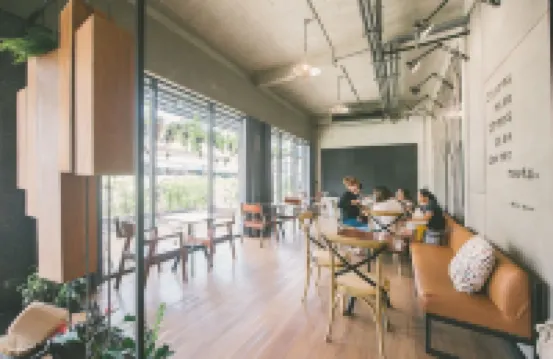 The Tree Sleep and Space