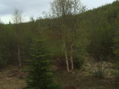 Summerhouse Vaglaskogur