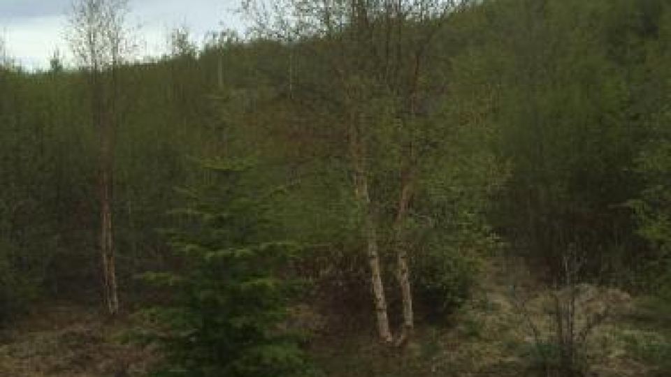 Summerhouse Vaglaskogur