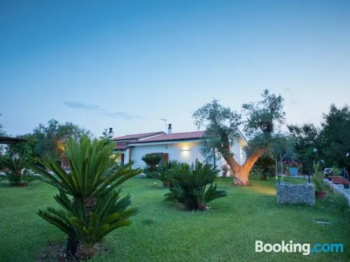 玫瑰農場28號住宿加早餐旅館